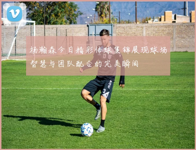 杨瀚森今日精彩传球集锦展现球场智慧与团队配合的完美瞬间