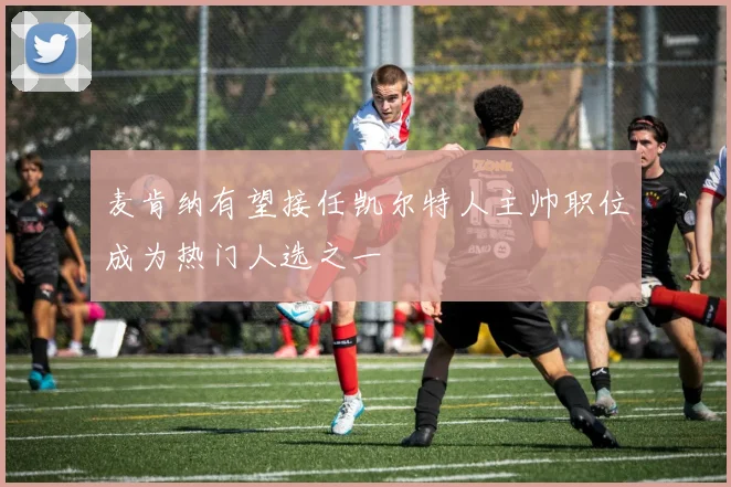 麦肯纳有望接任凯尔特人主帅职位成为热门人选之一
