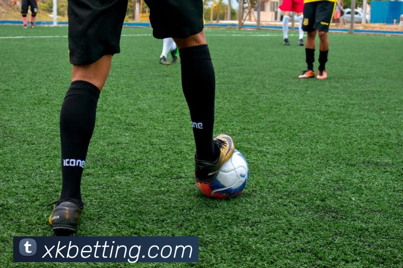 星空体育APP 封面图