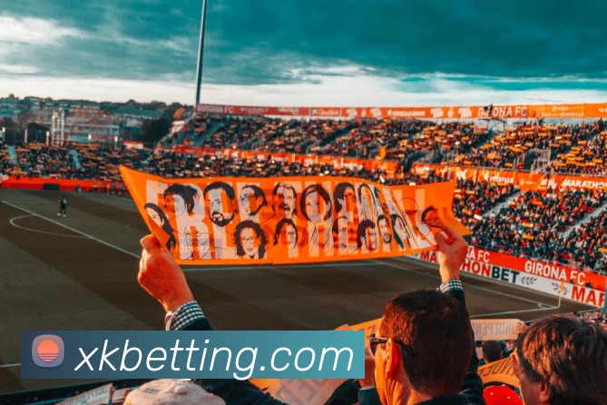 数据防护可视化